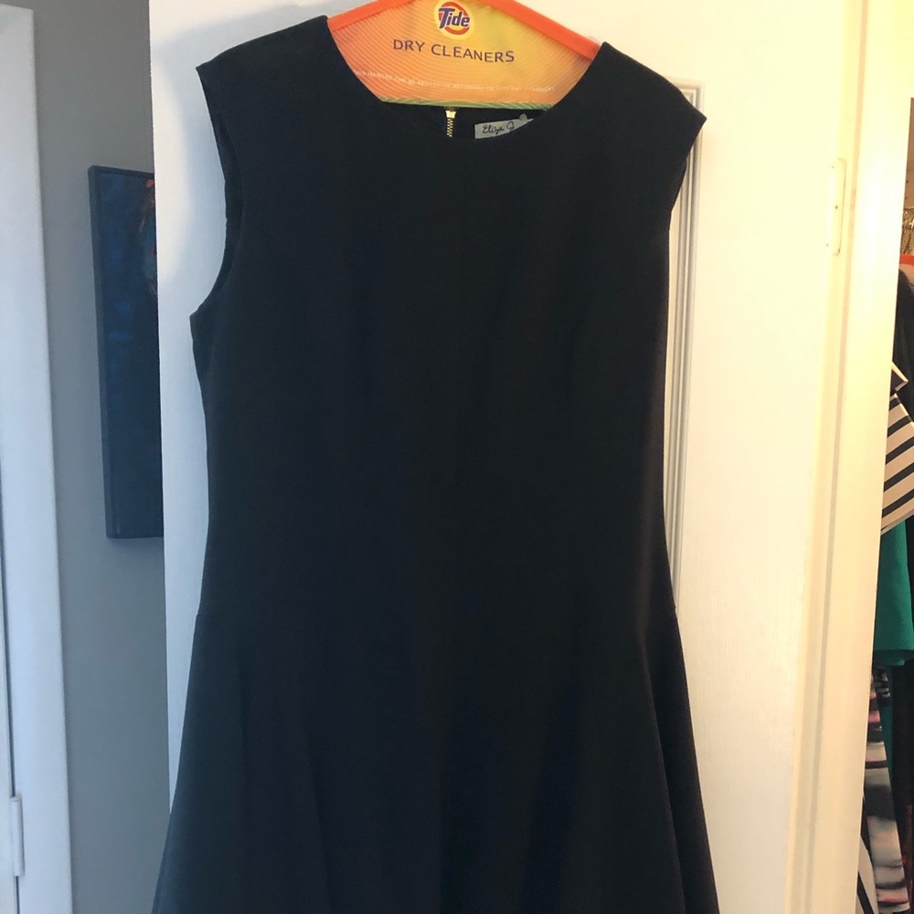 Drop waist Fit and Flare dress